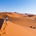 Las 10 mejores compañías aéreas para vuelos de larga distancia en clase Business » 2023