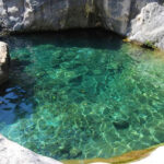 Kia supera las expectativas y establece un récord histórico de ventas » 2023