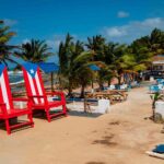 Estos son los pasaportes más potentes del mundo en el 2024 »