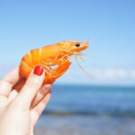 12 LUGARES DE VACACIONES DIVERTIDOS PARA JÓVENES ADULTOS EN EE.UU. »