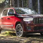 Las 5 Mejores Aventuras de Jamaica para los Amantes de la Naturaleza y la Aventura »