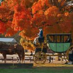 La decepción de la herencia italiana »