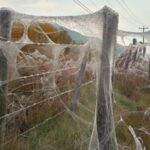 5 Países Pequeños con Experiencias de Viaje Gigantes »