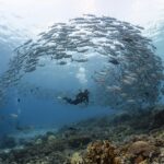 ¿Cuáles son las rutas de cicloturismo con estaciones de carga eléctrica y reciclaje? »