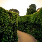 ¿Cuáles son las cascadas de fuego líquido que iluminan la noche como portales al inframundo? »